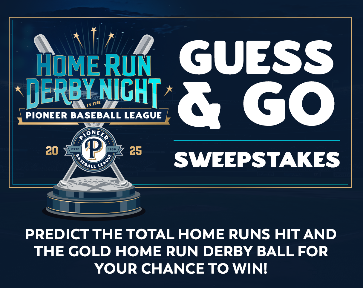 Guess & Go Icon