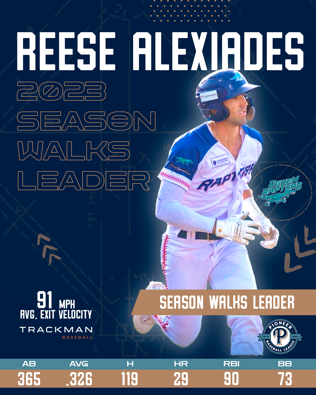Walks Leader
